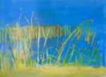 Fen reeds, Wicken, Cambridgeshire. 71.7cmx49.7cm