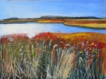 Reed beds 2018